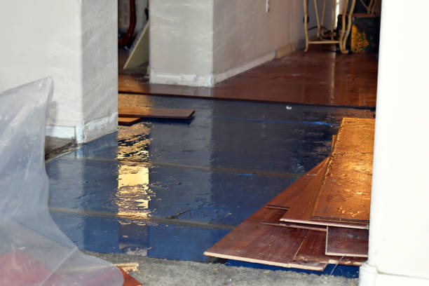 Professional Flood Cleanup technician working in Camp Hill, AL